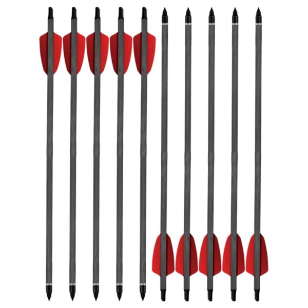 15 Carbonpfeile für Cobra R9   10er Pack