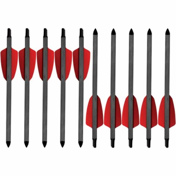 75 Carbonpfeile für Cobra R9   10er Pack