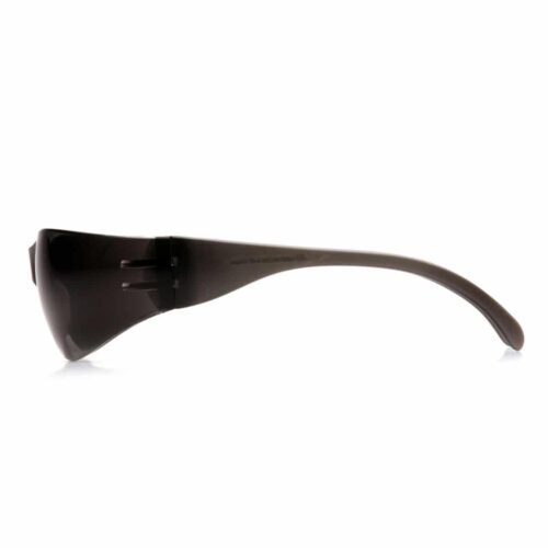 Schutzbrille Intruder