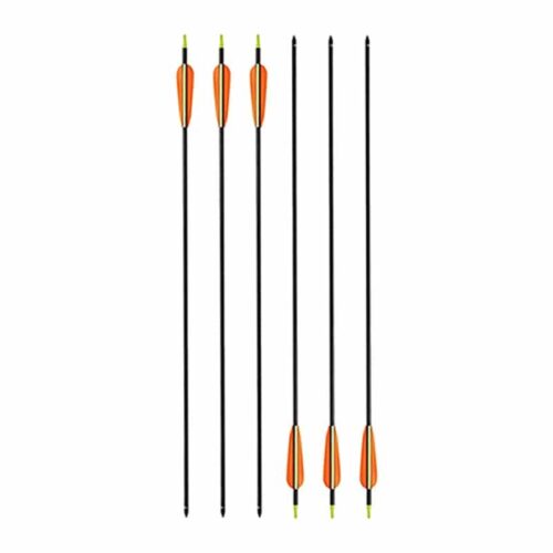 20 Carbonpfeile 6er Set