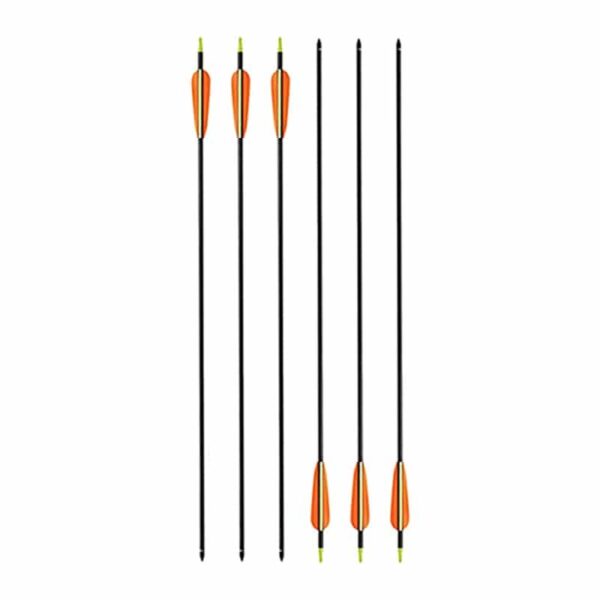 20 Carbonpfeile 6er Set