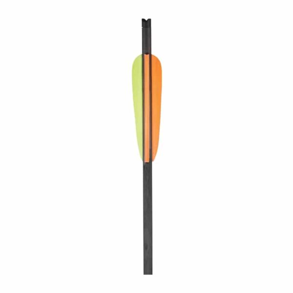 20 Carbonpfeile 6er Set