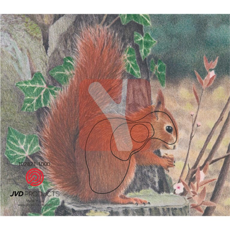 Zielscheibenauflage Eichhörnchen