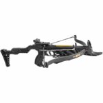 Bear Archery Desire XL