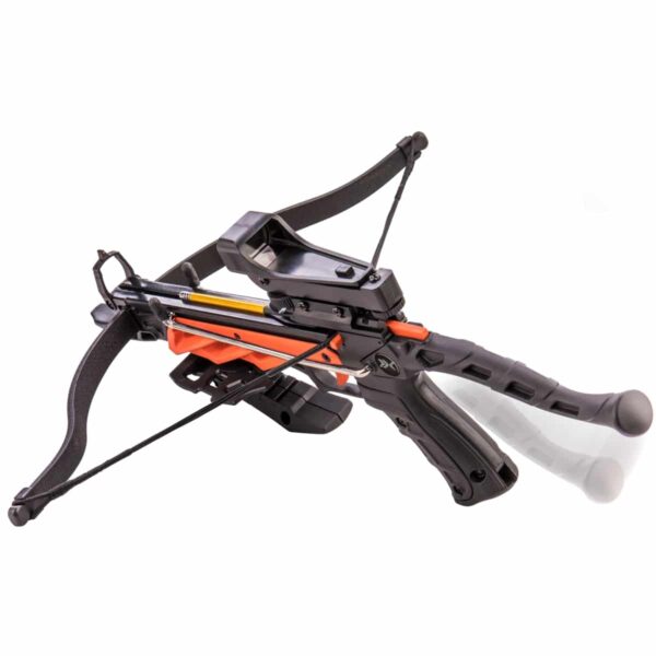 Bear Archery Desire RD