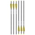 20 TenPoint Evo X CenterPunch Carbonbolzen