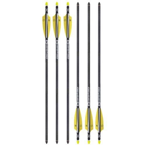 20" TenPoint Evo-X CenterPunch Carbonbolzen