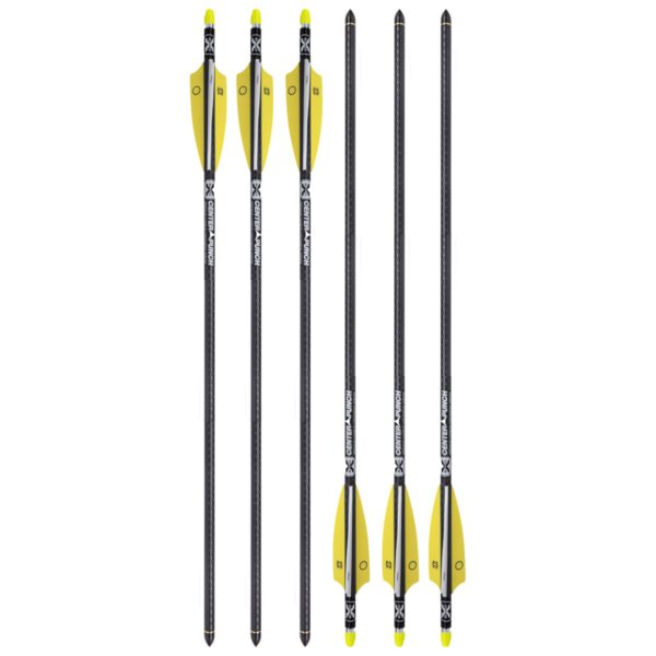 20 TenPoint Evo X CenterPunch Carbonbolzen