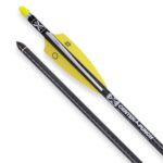 20 TenPoint Evo X CenterPunch Carbonbolzen