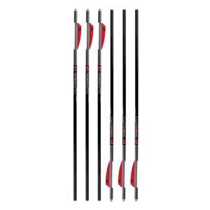 22 Killer Instinct HYPR™ SWAT™ Carbonbolzen