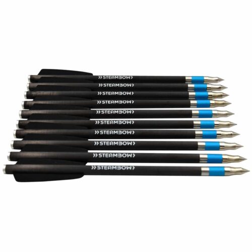 Steambow AR-Series Carbonsportpfeile