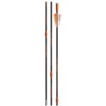Victory Archery VooDoo Carbonbolzen