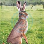 Zielscheibenauflage Hase