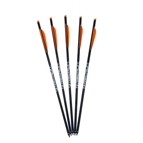 18" Barnett Recruit Fiberglasbolzen (5er Set)