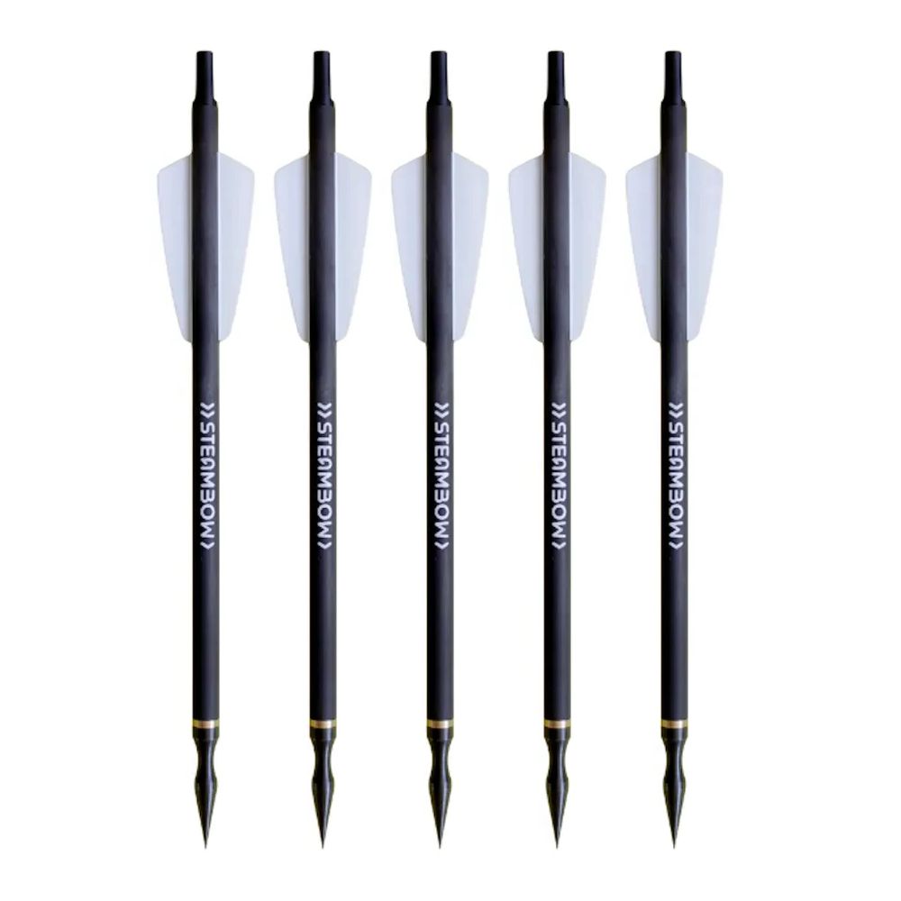 ARSeries PD5 Übungspfeile | Slingshotsch AR Series PD 5 Übungspfeile