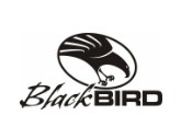 Blackbird